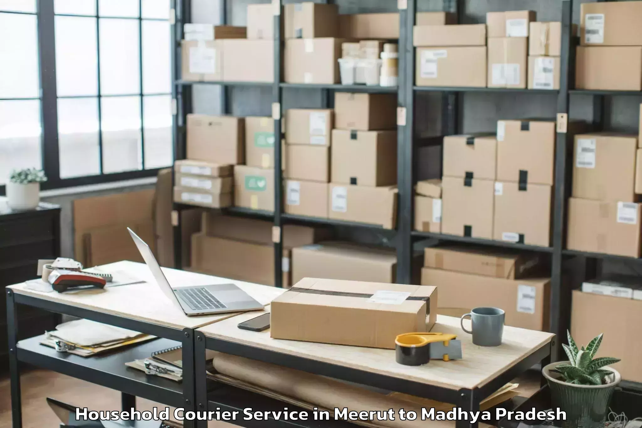 Easy Meerut to Narsimhapur Household Courier Booking